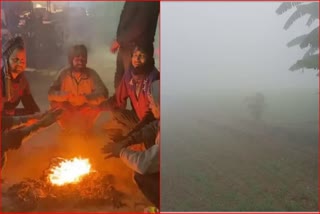 Haryana Weather Update Temperature dipping Hisar Cold Haryana news
