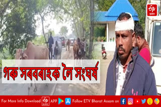 Clashes over cattle smuggling in Sivasagar