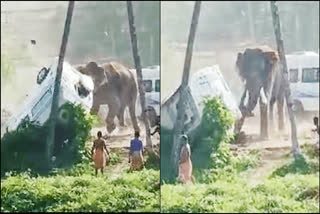 Elephant attack on vehicles  Elephant attack on vehicles in Kerala  Kerala elephant news  ವಾಹನಗಳನ್ನು ಎತ್ತಿ ಬಿಸಾಡಿದ ಒಂಟಿ ಸಲಗ  ಗಜರಾಜನ ರುದ್ರಾವತಾರಕ್ಕೆ ಬೆಚ್ಚಿ ಬಿದ್ದ ಜನ  ಕೇರಳದ ತ್ರಿಶೂರ್​ದ ತ್ರಿಪ್ರಯಾರ್‌  ವಾಹನಗಳ ಮೇಲೆ ದಾಳಿ  ಮದವೇರಿದ ಆನೆ
