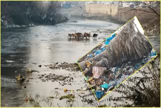 Arpath-nallah-turned-into-garbage-dumping-site