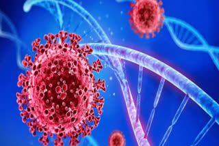 Case of substrain N.1 of Covid-19 surfaced in Kerala