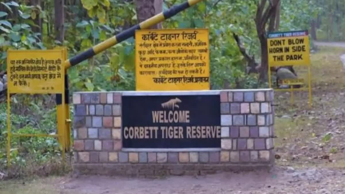 Corbett Tiger Reserve