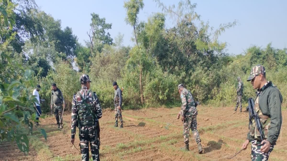 opium-crop-destroyed-in-ranchi