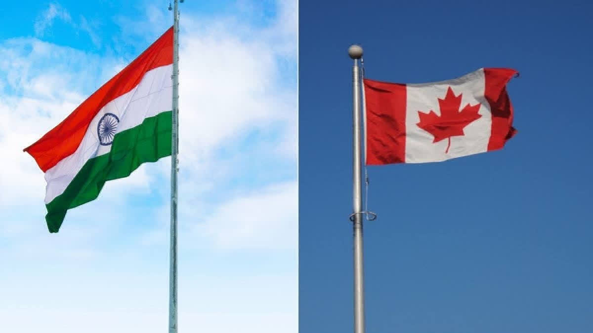 India Canada flag collage