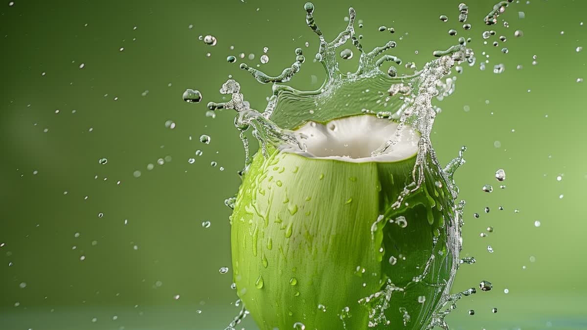 Is it drinking coconut water daily in winter season is Beneficial for health ?