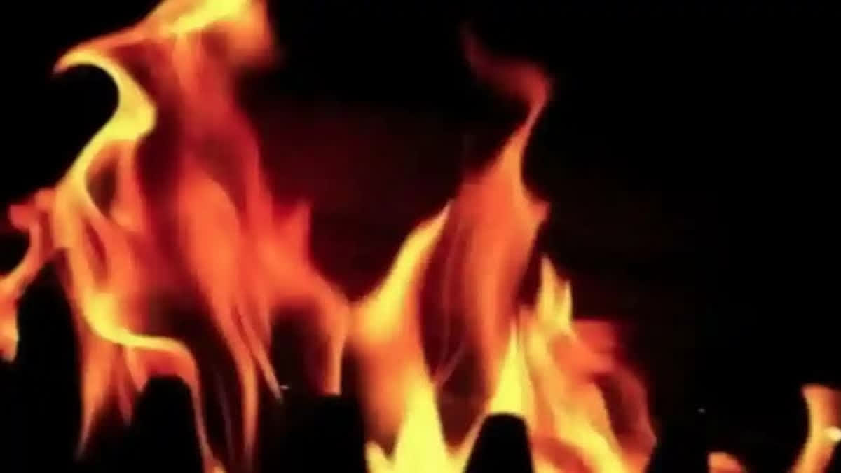 Fire Breaks Out At Factory In Delhi's Okhla