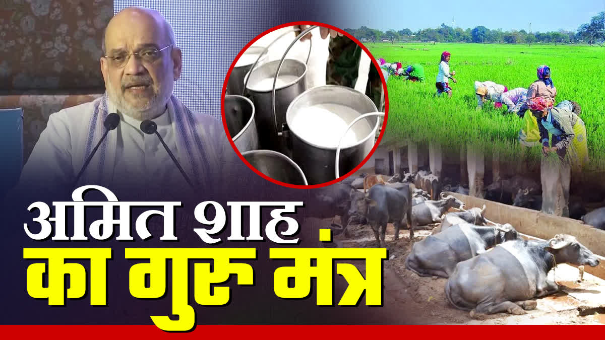 AMIT SHAH TIPS FOR PADDY FARMERS