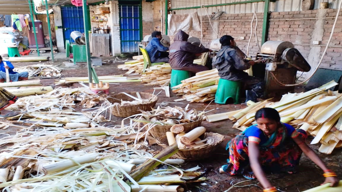 Earning crores from banana waste