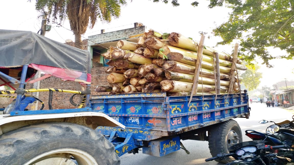 Earning crores from banana waste