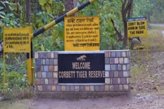 Corbett Tiger Reserve