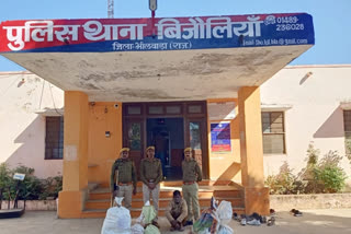 Drug Smuggler Arrested in Bhilwara