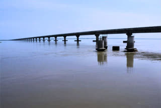 Mahanadi Water Crisis Deepens in odisha