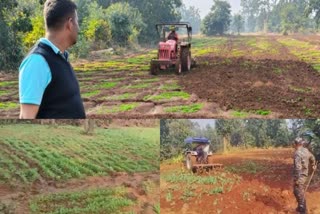 OPIUM CULTIVATION IN LATEHAR