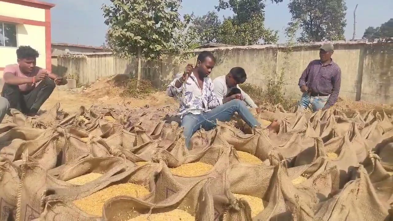 Rice millers strike after computer operators