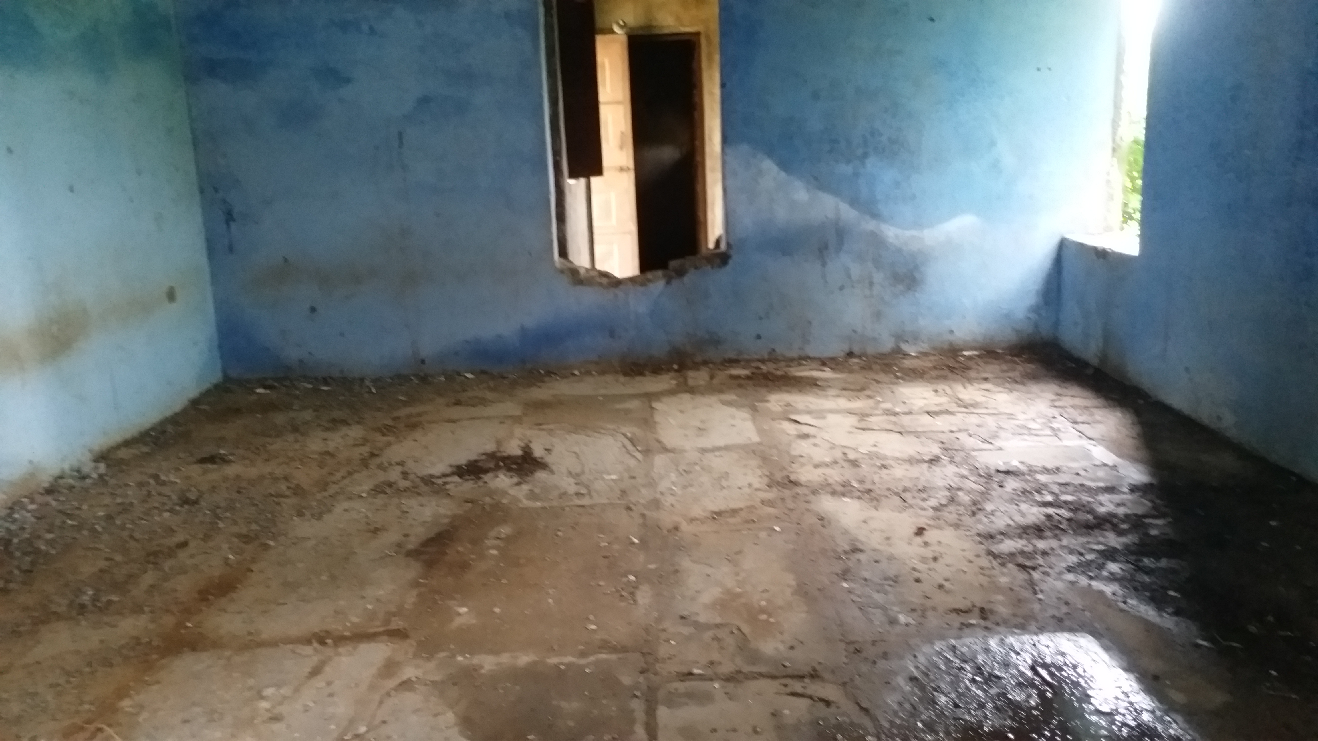 condition of bassi jaipur primary school