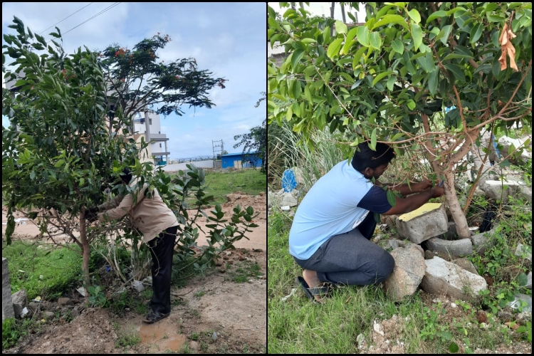 freindship-day-celebration-by-tieying-band-to-the-trees