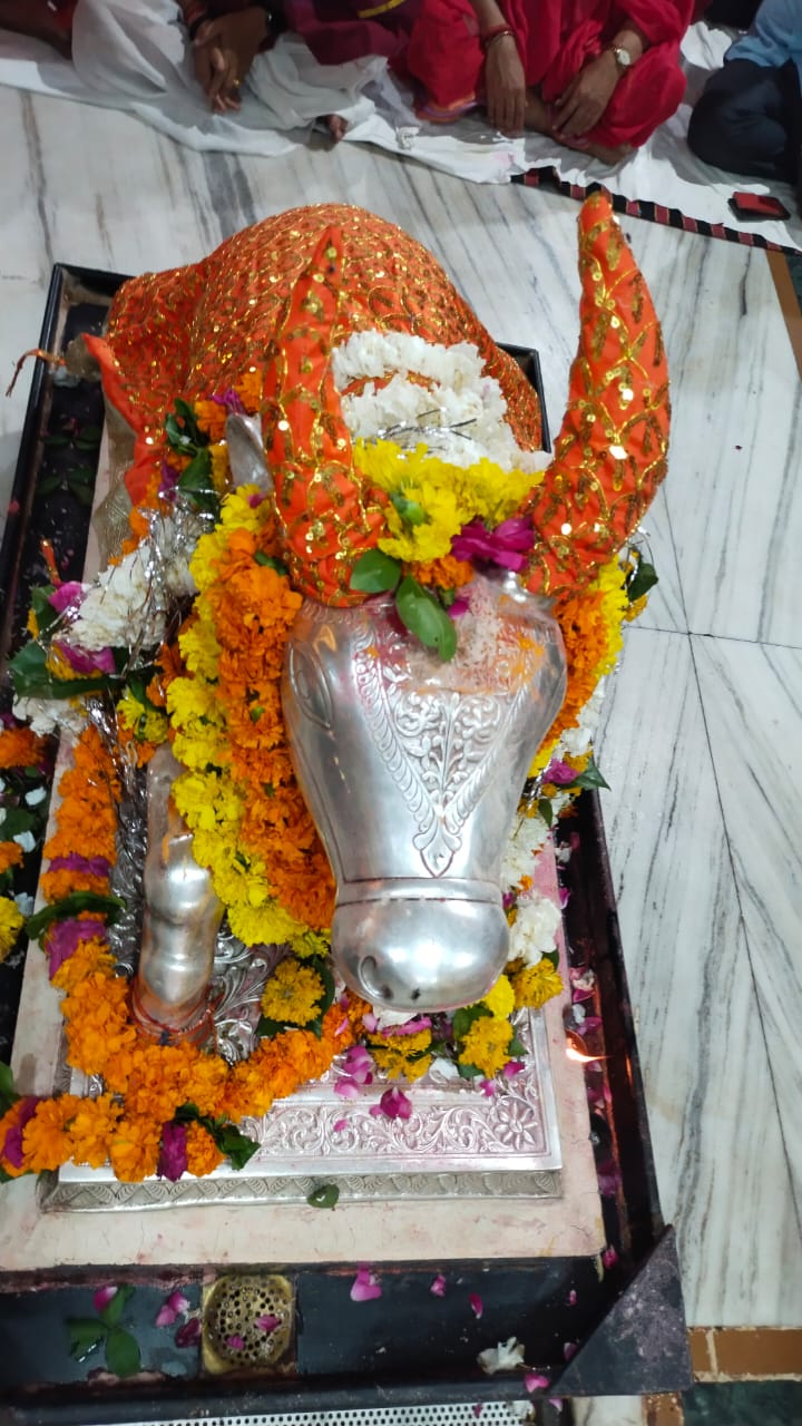 darshan of Nandi Maharaj