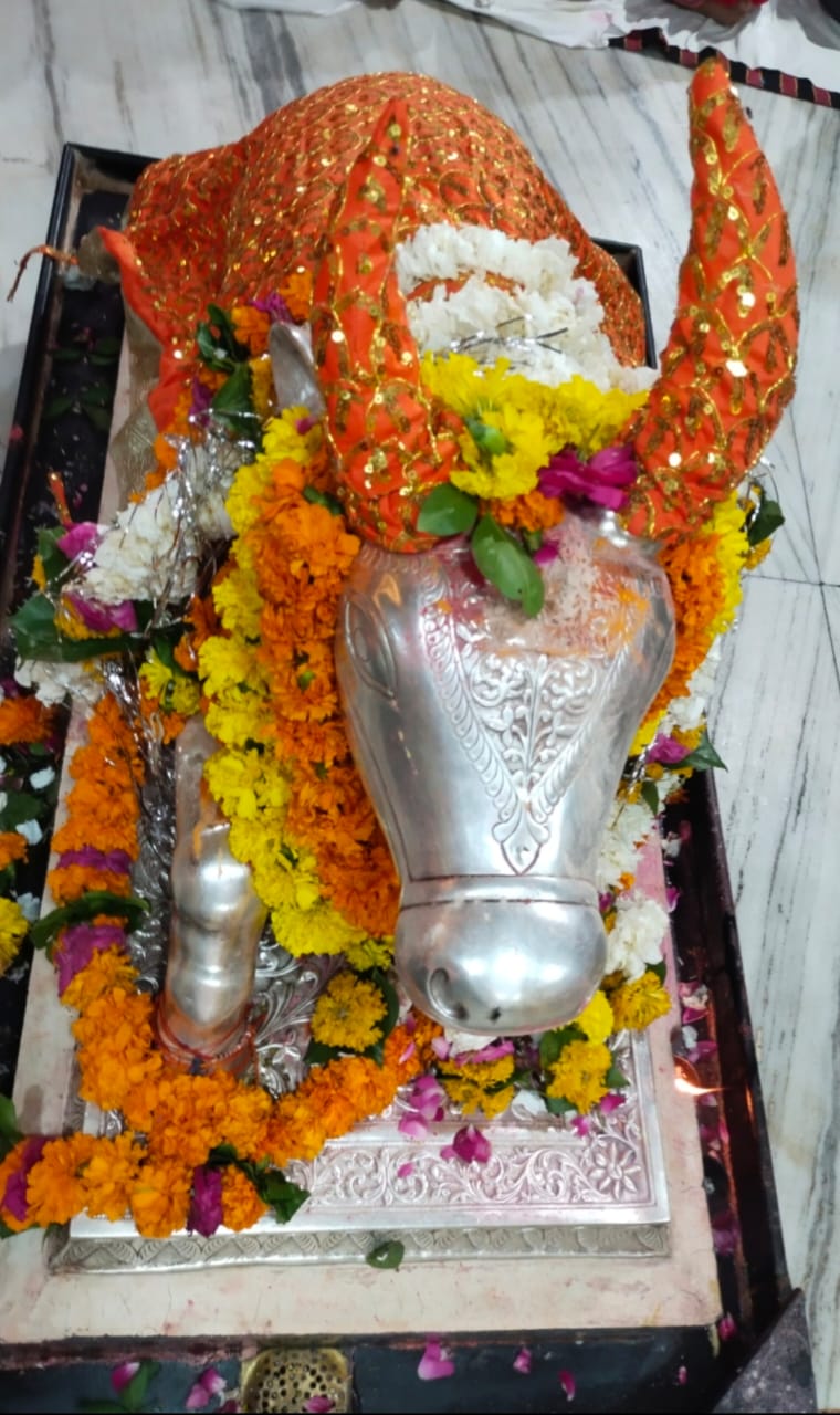 Have darshan of Nandi Maharaj