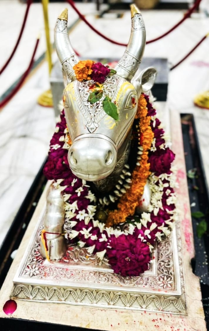 darshan of Nandi Maharaj