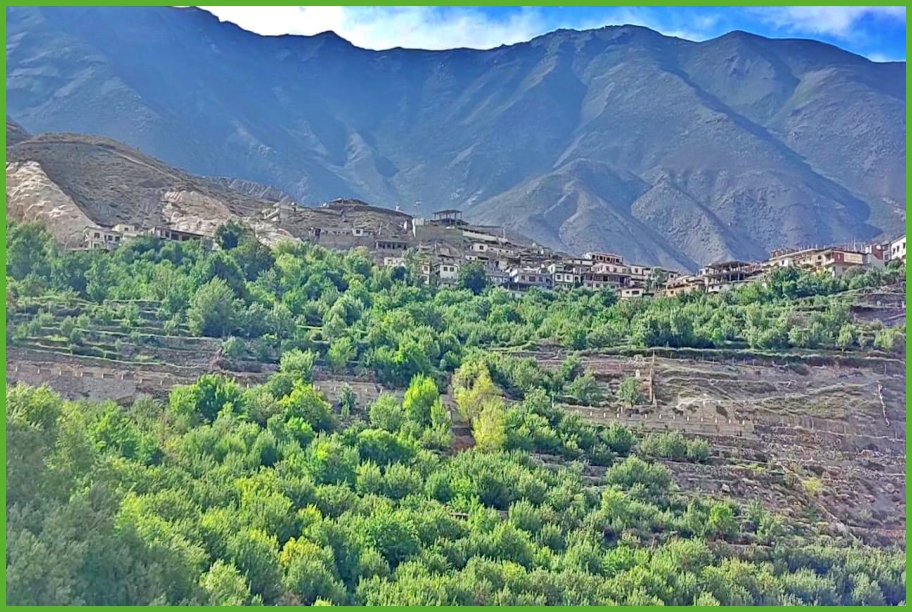 Chemical Free farming in shalkhar village