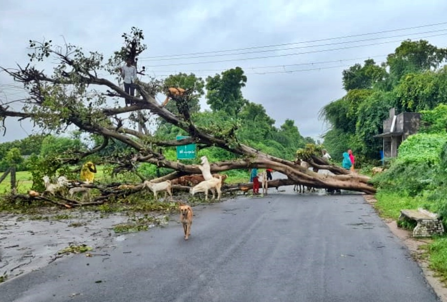 મોંઘવારીની મારથી પીડાતા ગ્રામીણ વિસ્તારના લોકોને વધુ એકવાર નુકસાન સહન કરવાનો વારો આવ્યો છે.