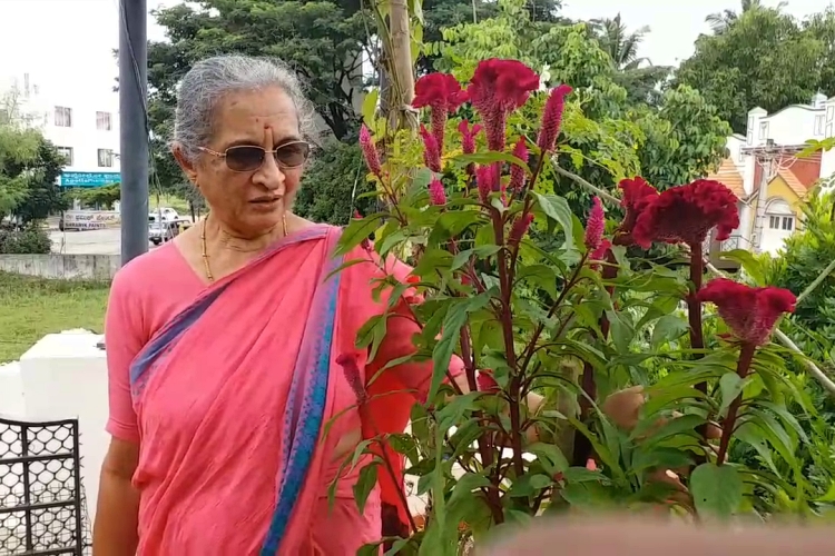 Doctor made garden in Terrace