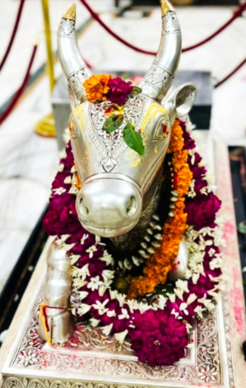 nandi darshan