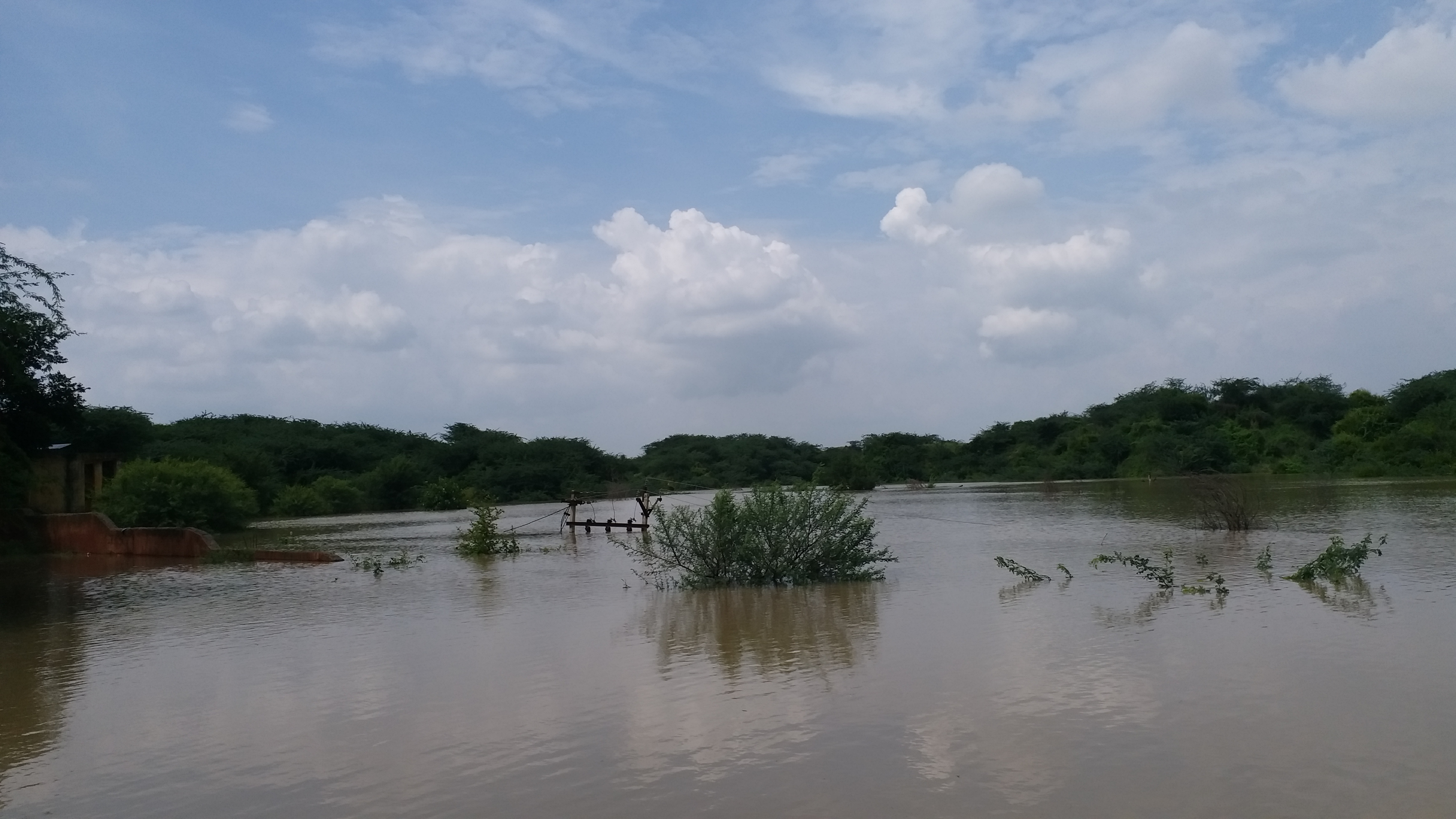 Bhind Chambal Flood