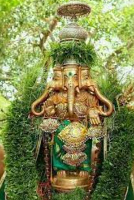 Durva Importance In Lord Ganesh Chaturthi Puja