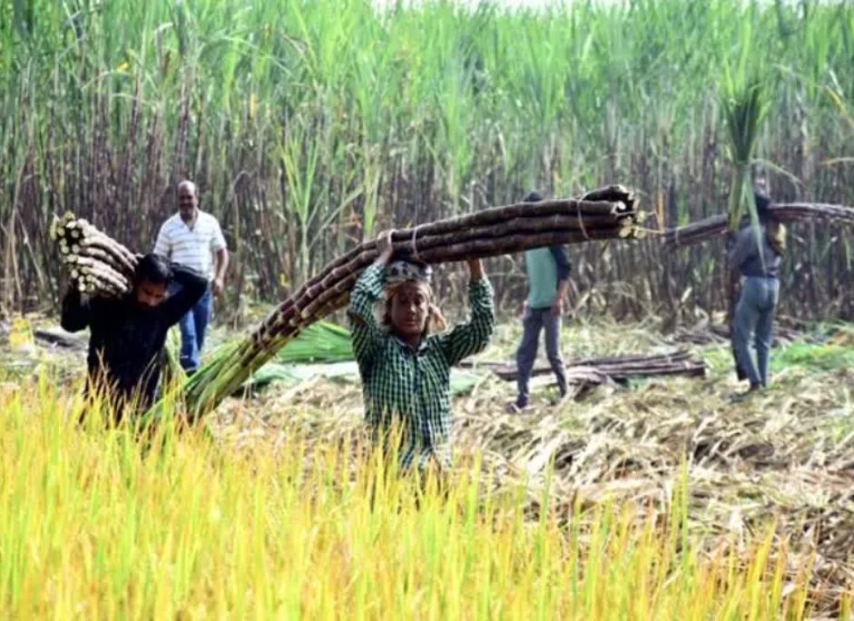 ರೈತರಿಗೆ ಸರ್ಕಾರದ ಯೋಜನೆ