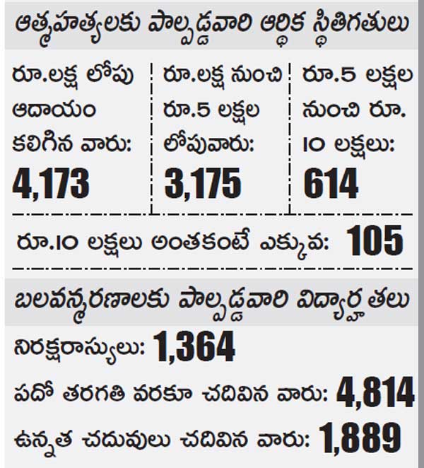 ఆత్మహత్యకు పాల్పడ్డ వారి ఆర్థిక స్థితిగతుల వివరాలు