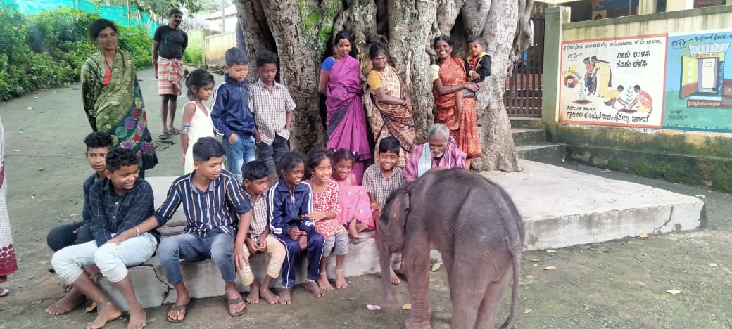 ದಾರಿ ತಪ್ಪಿ ಶಾಲೆಗೆ ಬಂತೊಂದು ಮರಿಯಾನೆ