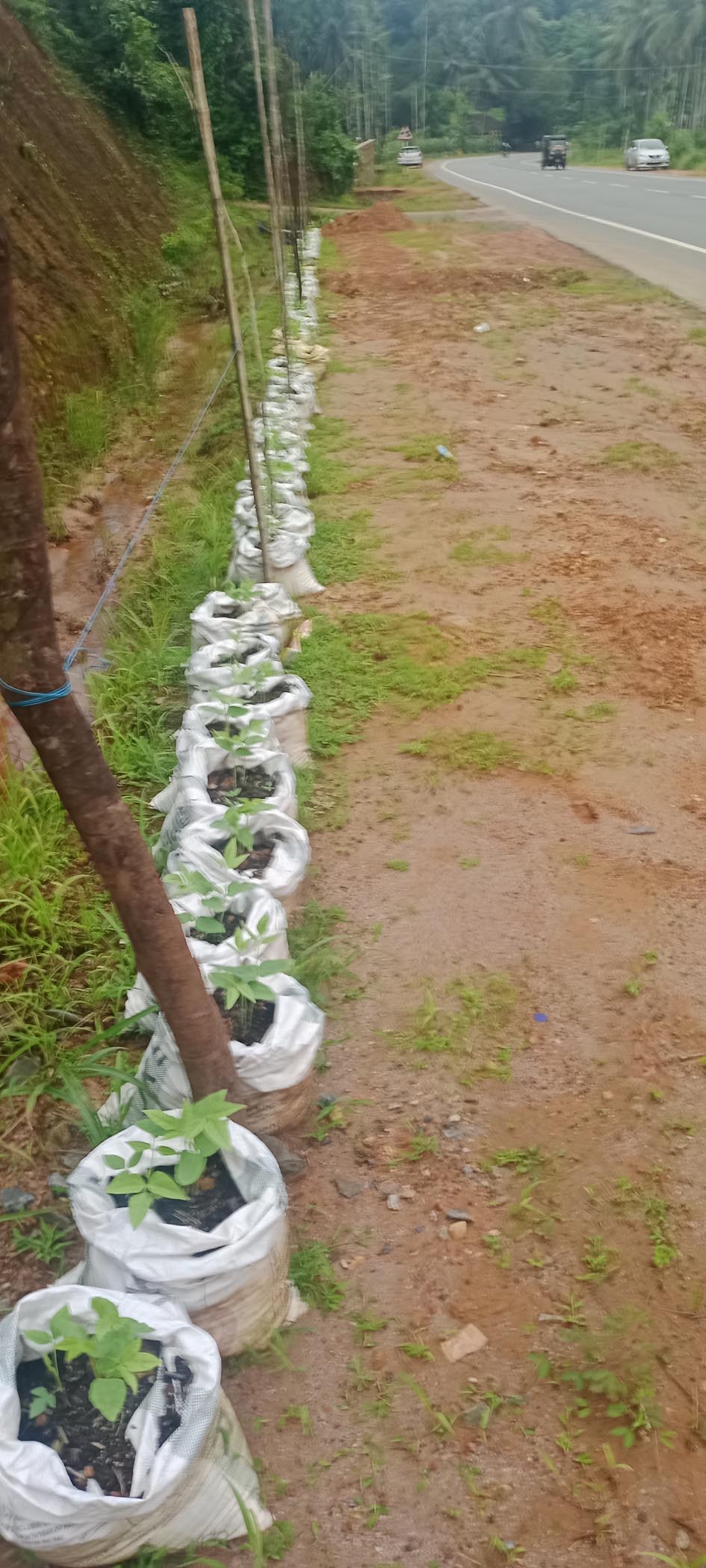 Empty place beside the National Highway farmer grow vegetables