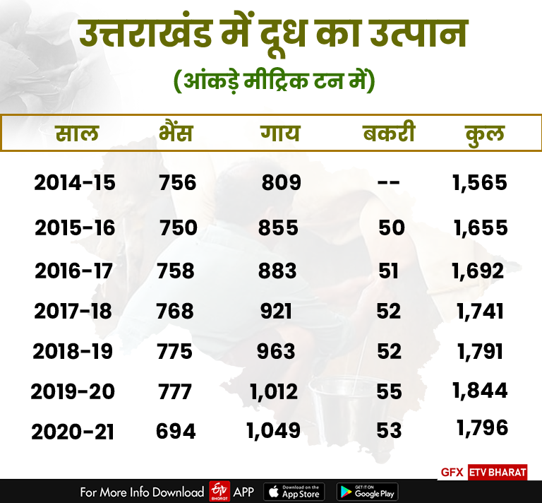 Cow milk production