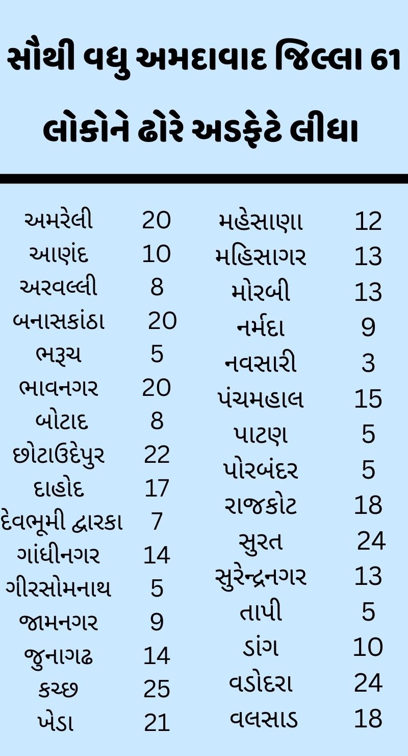 સૌથી વધુ અમદાવાદ જિલ્લા 61 લોકોને ઢોરે અડફેટે લીધા