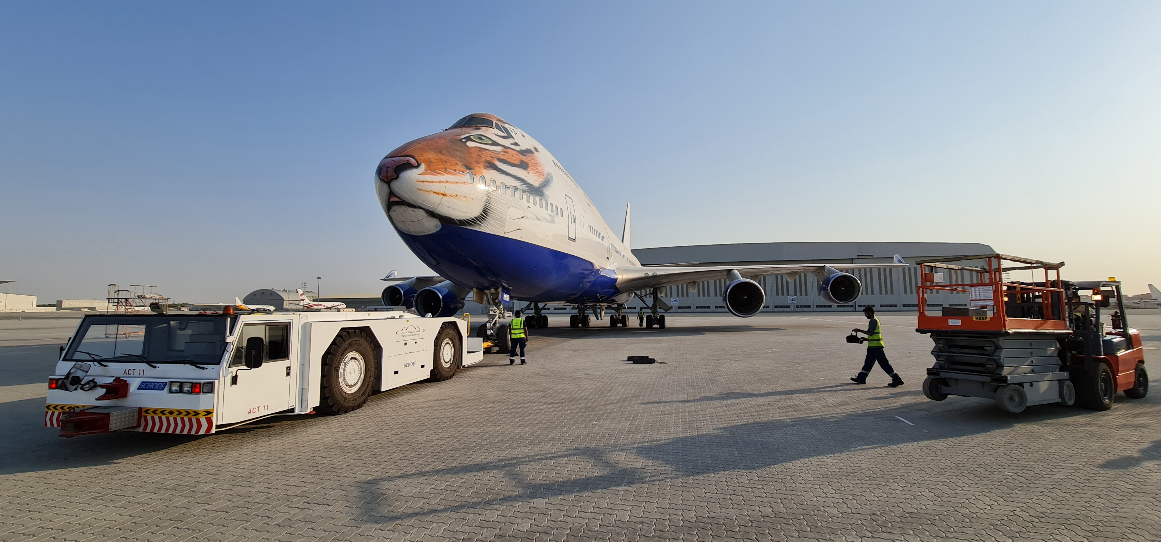 special Tiger printed plane Photos