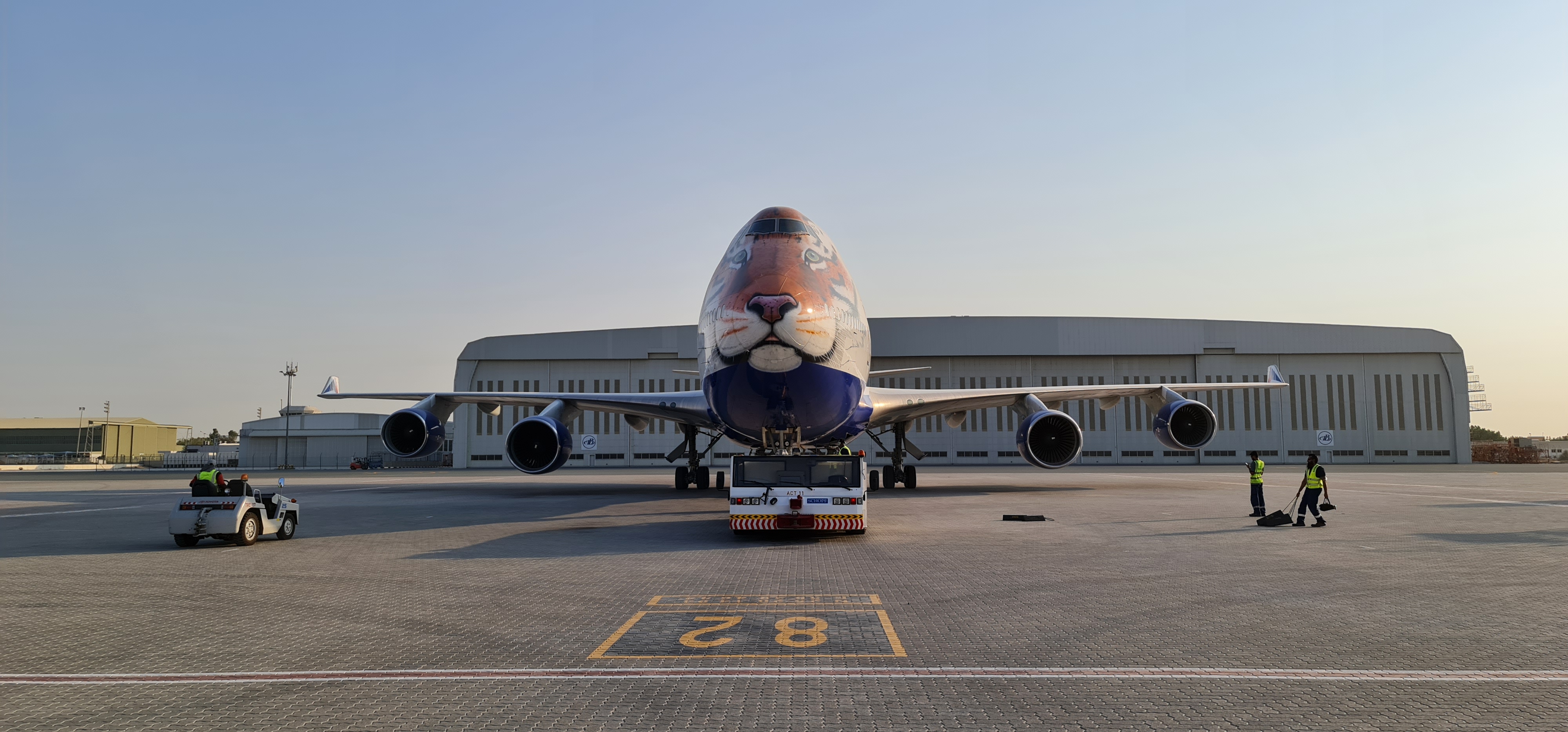 Exclusive: Full picture of special plane with tiger face standing at the airport.