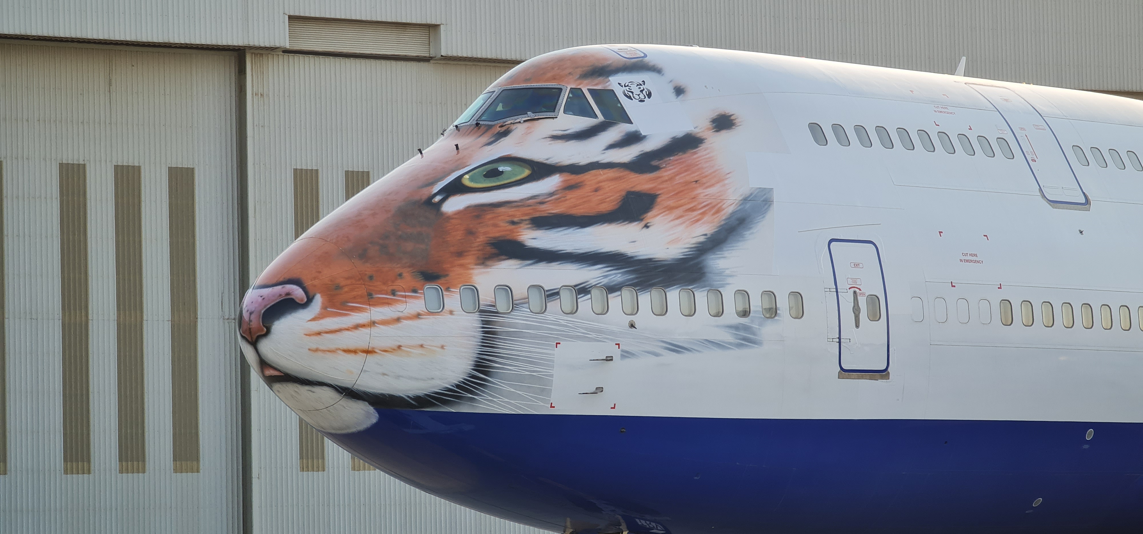 Exclusive: The spectacular Tiger of the special plane is attracting the face.