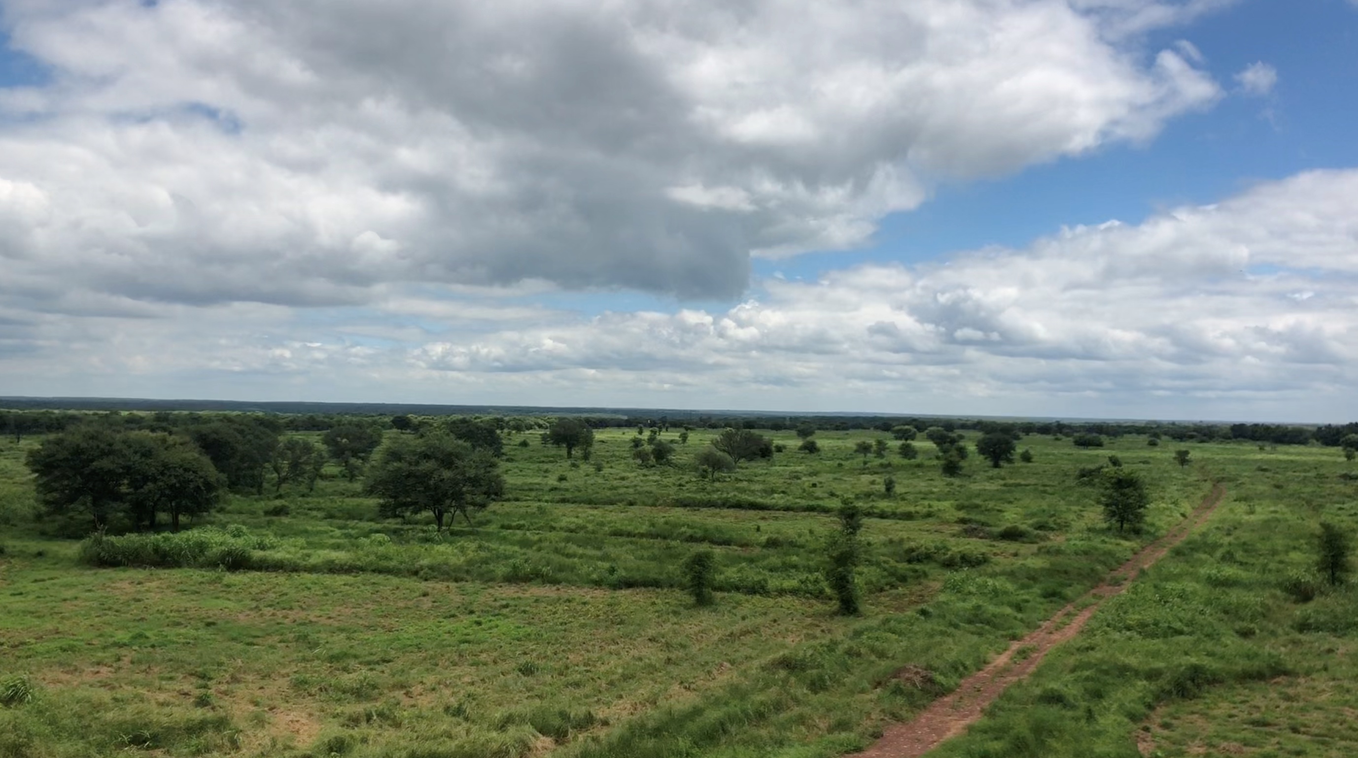 Kuno Palpur National Park