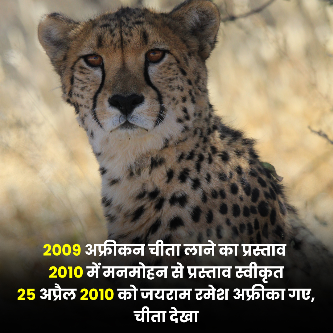 Proposal to bring cheetah came in the year 2009