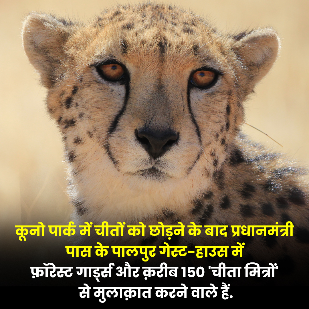 PM Modi will meet Cheetah friends after leaving Cheetah