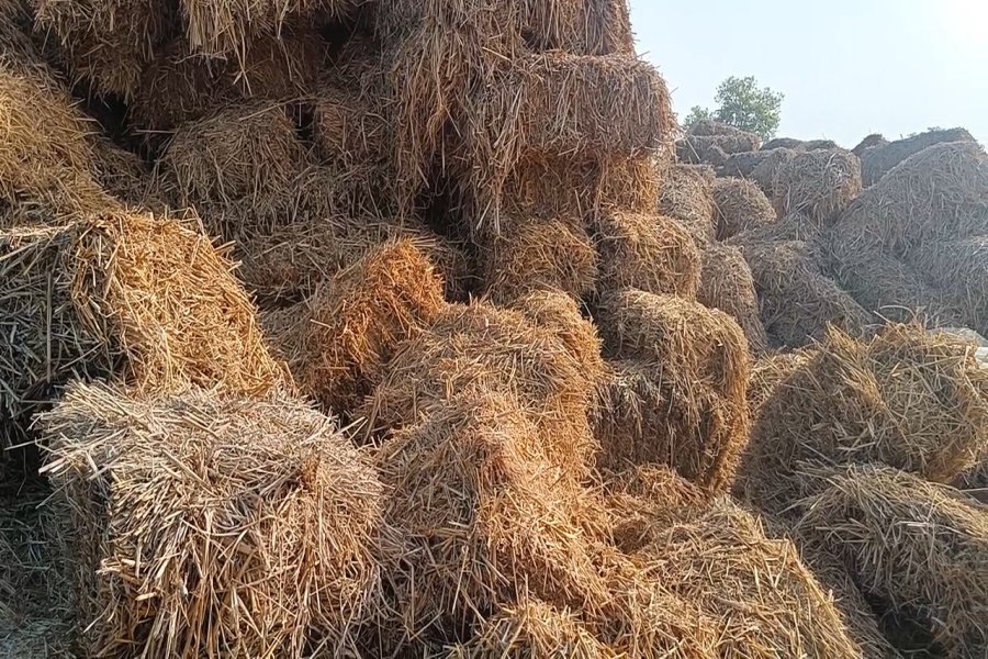 stubble management in haryana