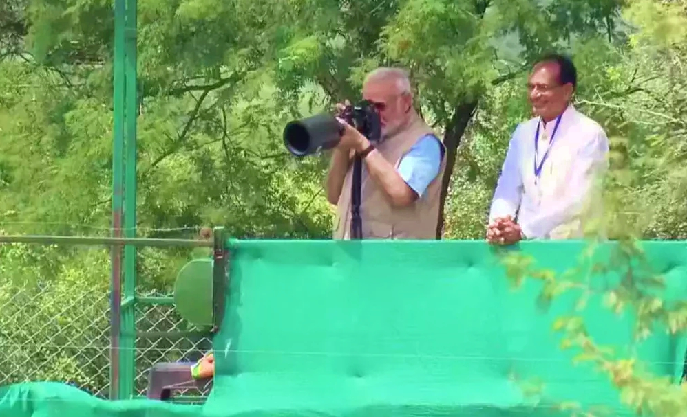 pm modi cm shivraj photo at kuno national park