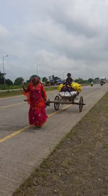 woman bullock cart viral video