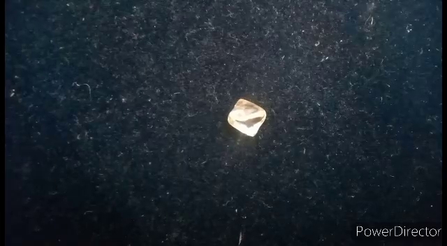 panna diamond farmer found diamond of in field in panna farmer deposited diamond in office