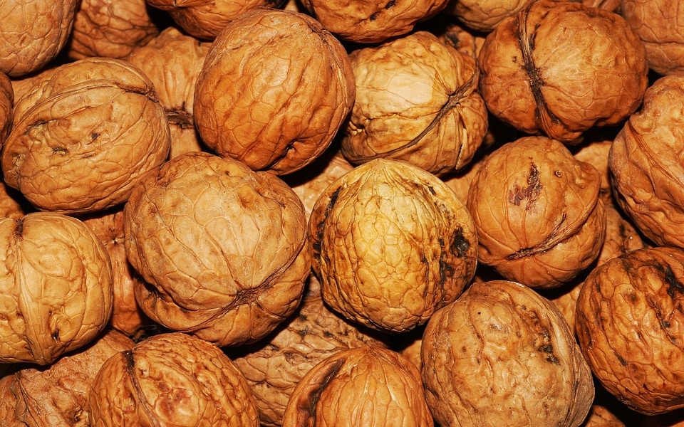 Eating walnuts