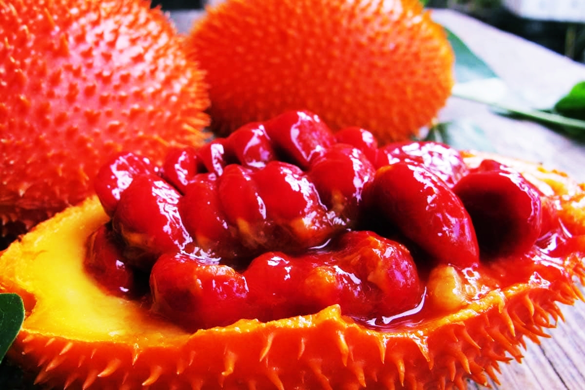 gac fruit