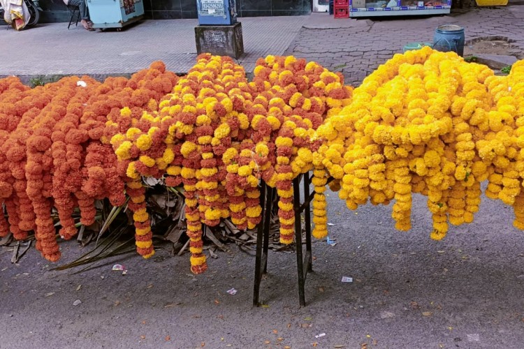 hike in Flower price