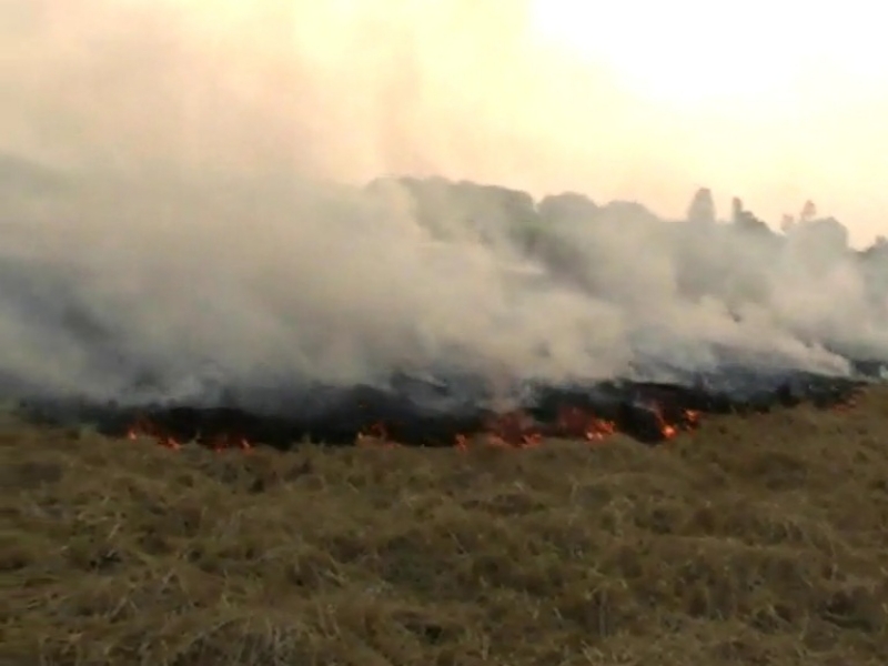 Crop residues in Karnal