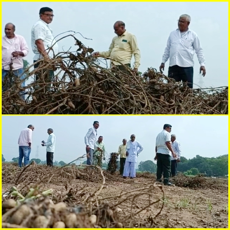 ચોમાસાની વિદાયના પગલે ખેડૂતો જગત રાજીના રેડ થયા હતા